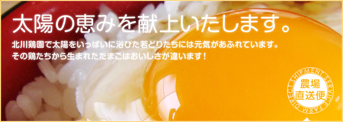 �����C���[�W